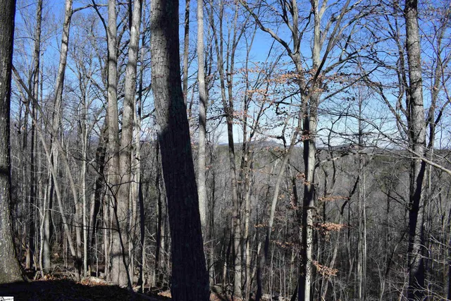 $575,000 | 228 Wildwood Lane, Columbus, NC 28722