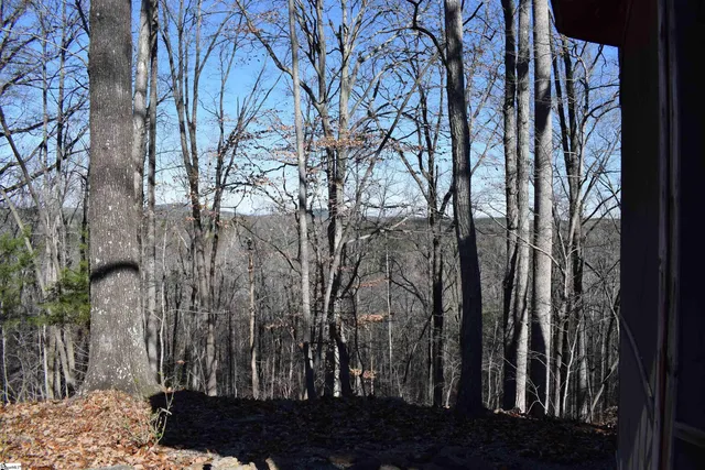 $575,000 | 228 Wildwood Lane, Columbus, NC 28722