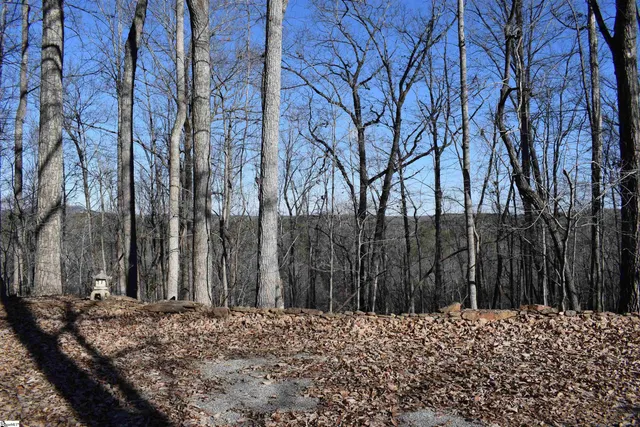 $575,000 | 228 Wildwood Lane, Columbus, NC 28722