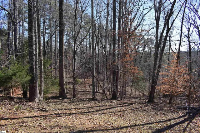 $575,000 | 228 Wildwood Lane, Columbus, NC 28722