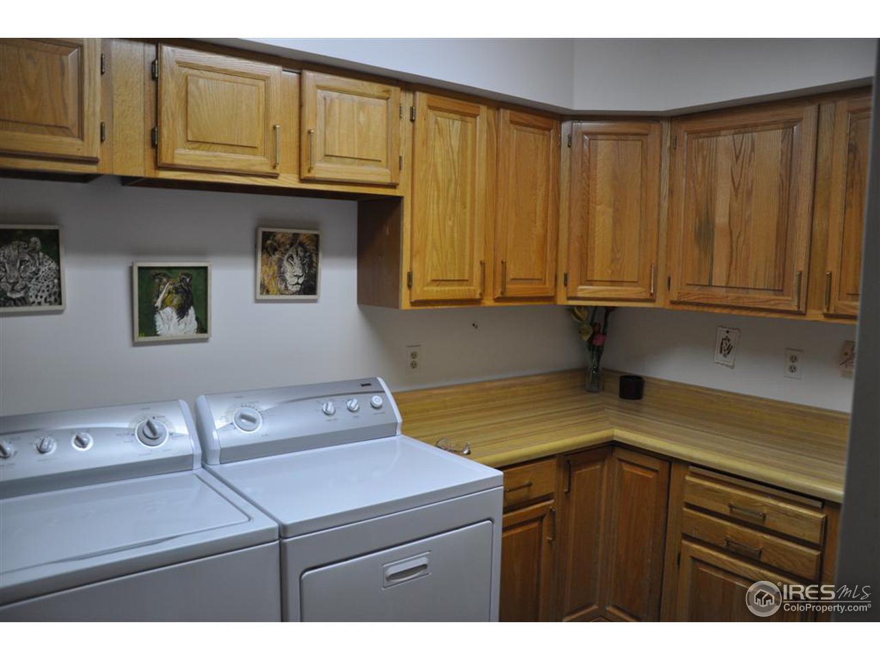 440 Venner Ranch Road Estes Park, CO 80517 - Photo 16 of 25 a utility room with dryer and washer