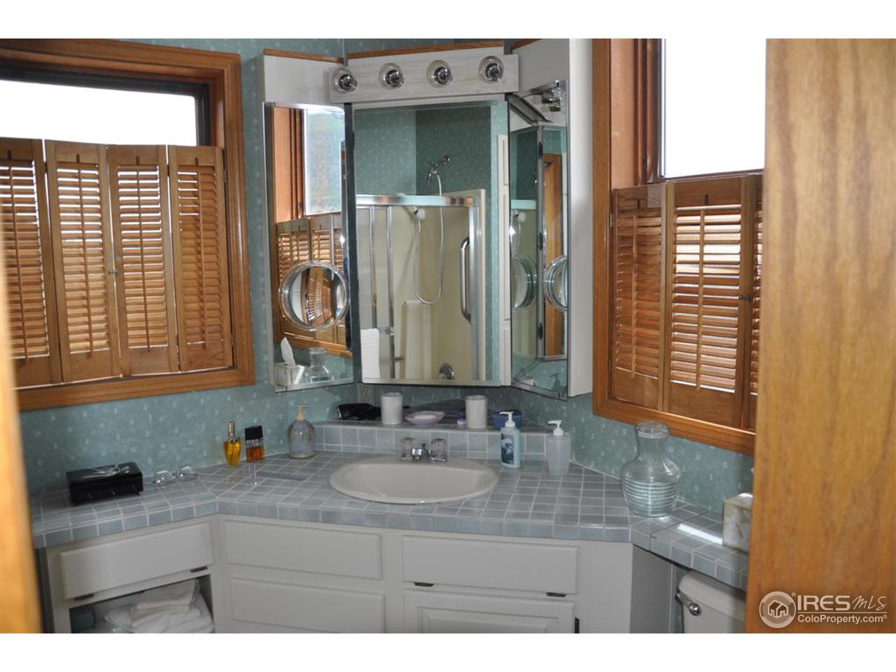 440 Venner Ranch Road Estes Park, CO 80517 - Photo 10 of 25 a bathroom with a sink and a mirror