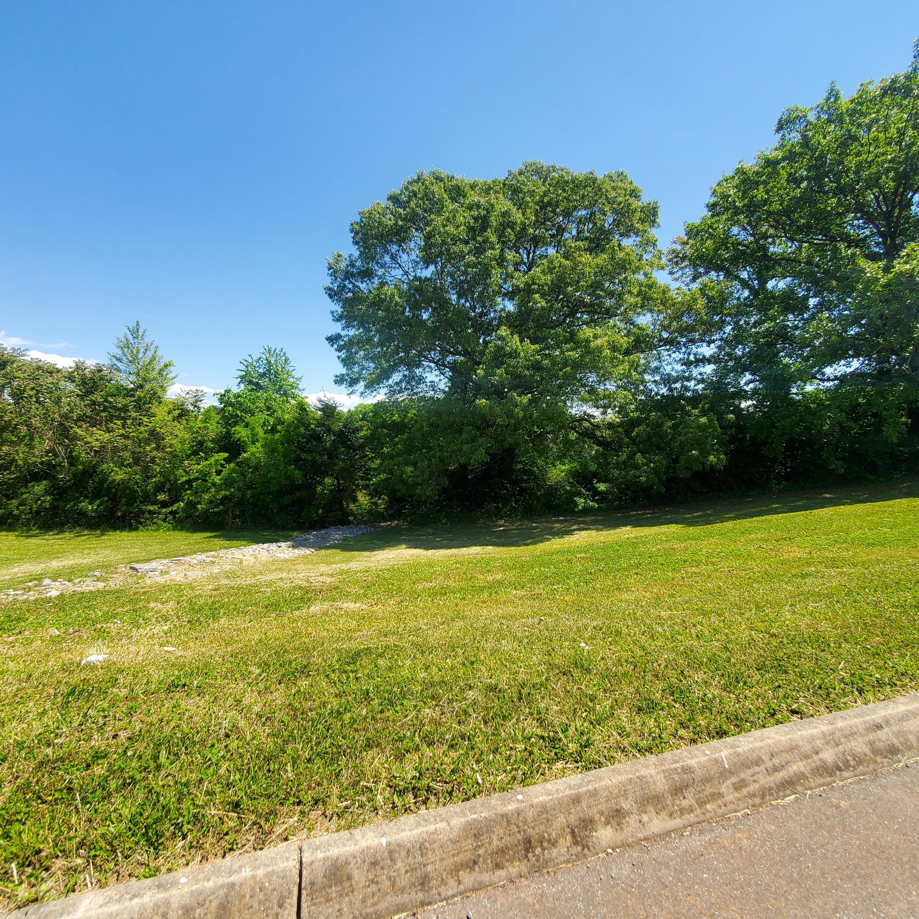 Lot 110 Tumbleweed Trail, Unit 110 Rutledge, TN 37861 - Photo 11 of 22 11