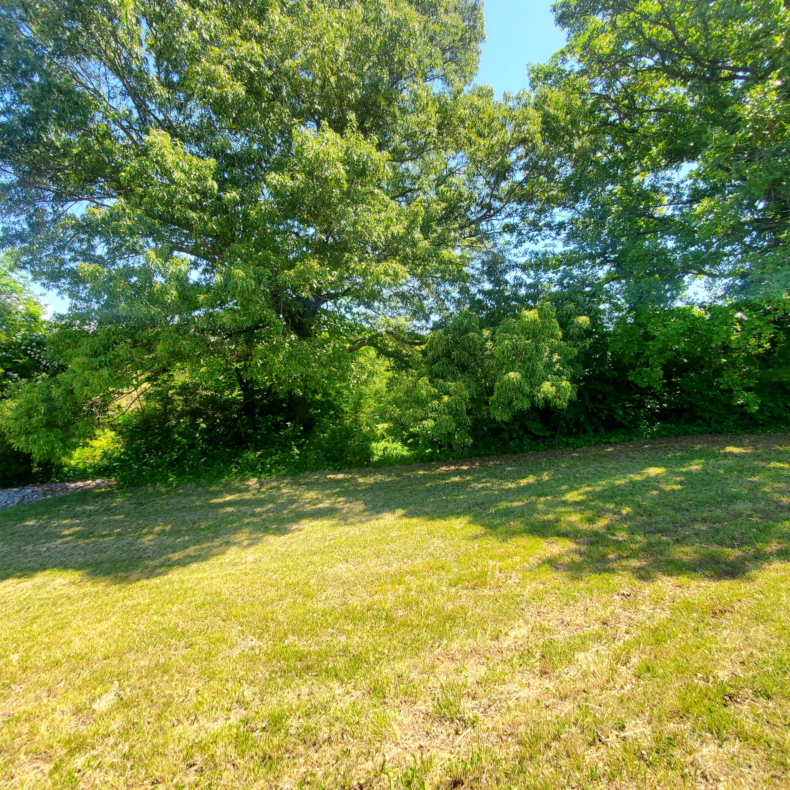 Lot 110 Tumbleweed Trail, Unit 110 Rutledge, TN 37861 - Photo 13 of 22 13