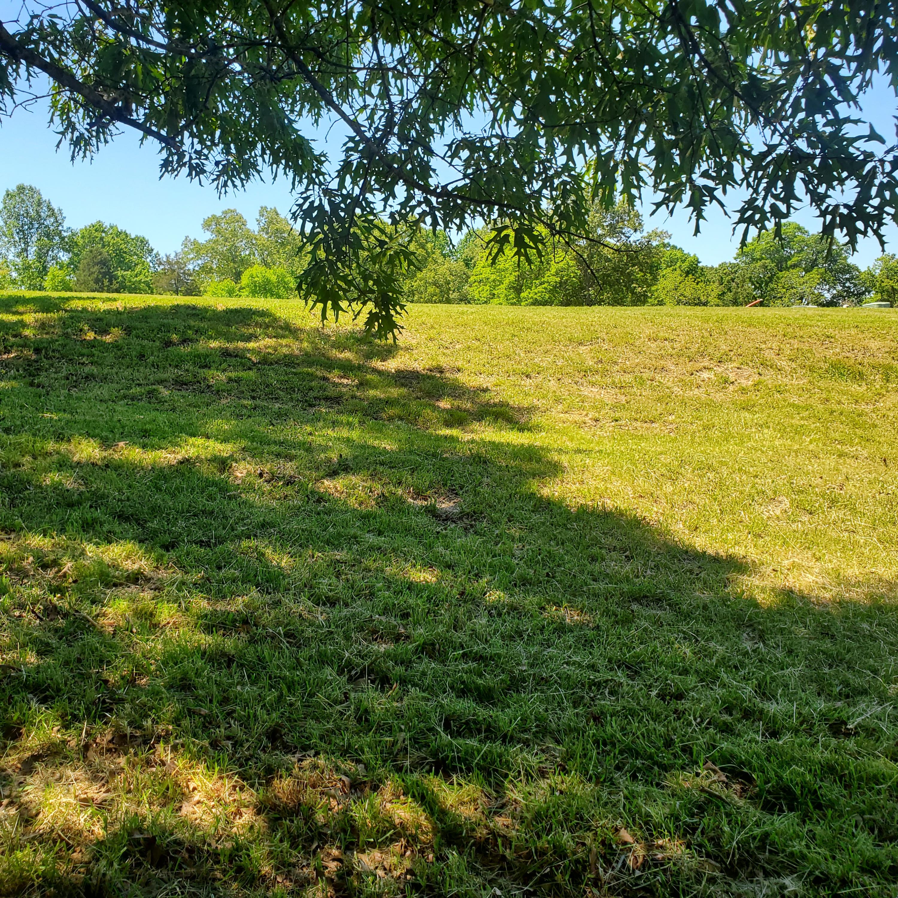 Lot 110 Tumbleweed Trail, Unit 110 Rutledge, TN 37861 - Photo 15 of 22 15