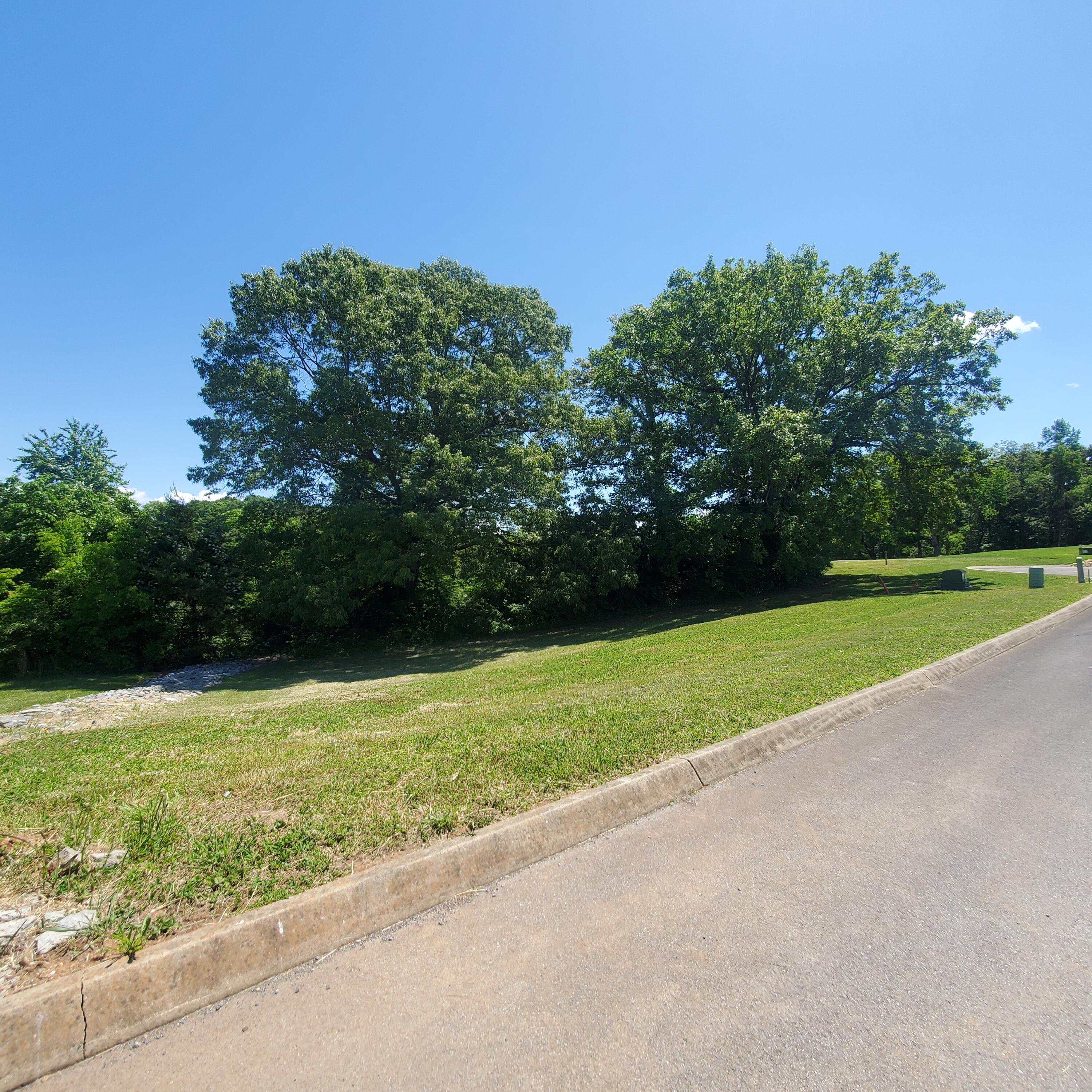 Lot 110 Tumbleweed Trail, Unit 110 Rutledge, TN 37861 - Photo 6 of 22 6