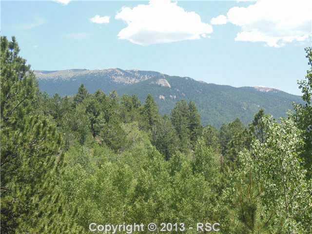 112 Blue Spruce Road Divide, CO 80814 - Photo 22 of 25 Gallery Image 22