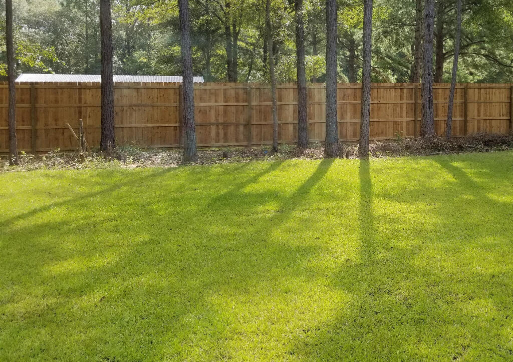 6007 Walk Along Way Crestview, FL 32536 - Photo 30 of 39 a view of a backyard with a small cabin and a small garden