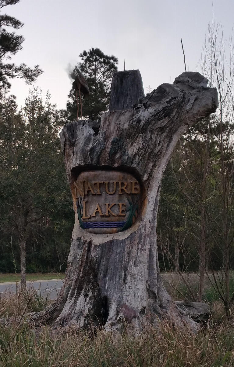 6007 Walk Along Way Crestview, FL 32536 - Photo 33 of 39 a view of a tree