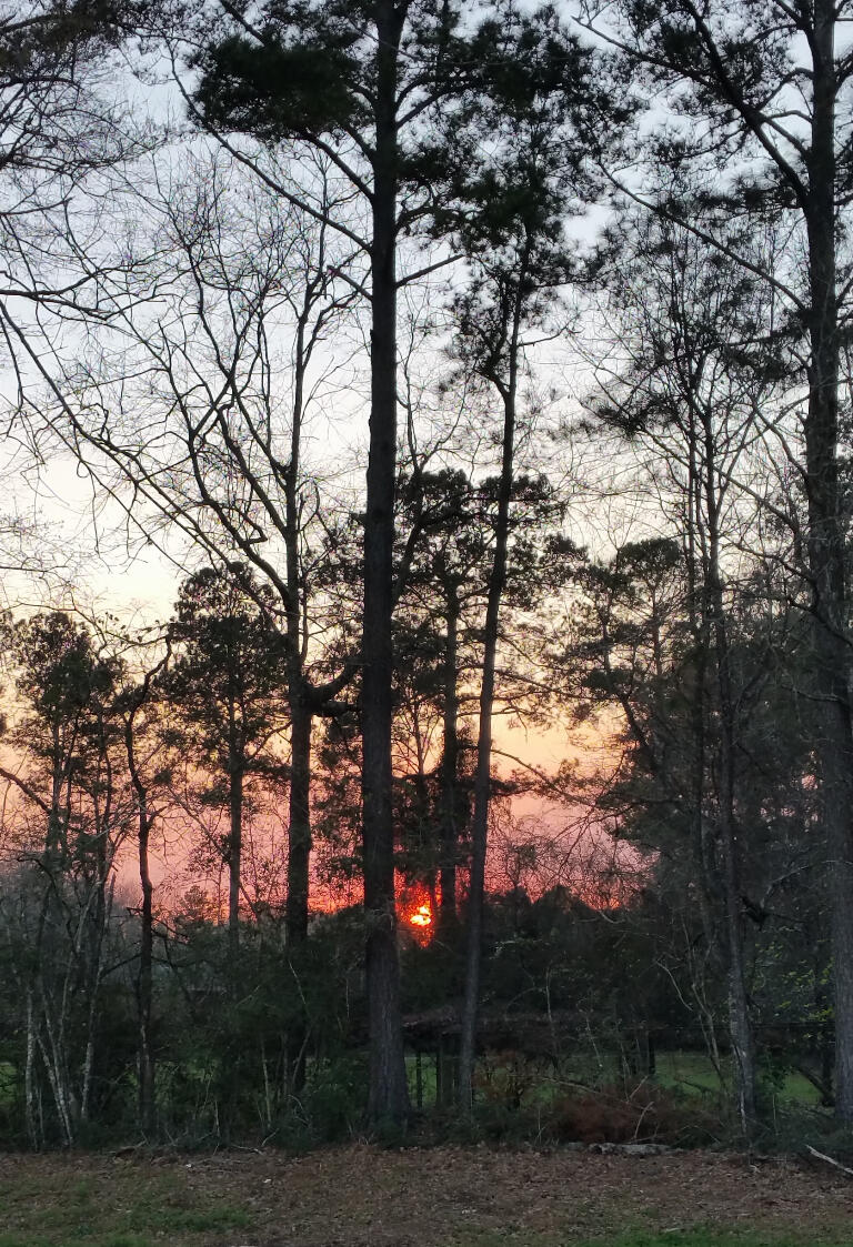6007 Walk Along Way Crestview, FL 32536 - Photo 34 of 39 a view of a yard in front of the house
