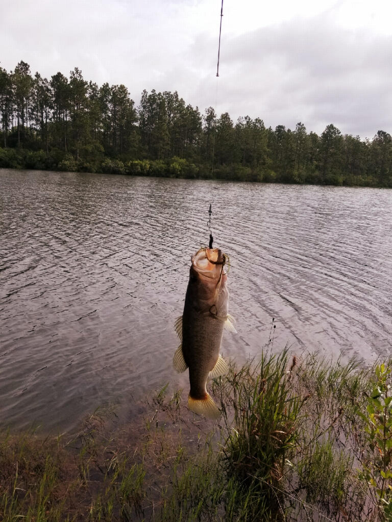6007 Walk Along Way Crestview, FL 32536 - Photo 36 of 39 a view of a lake from a lake