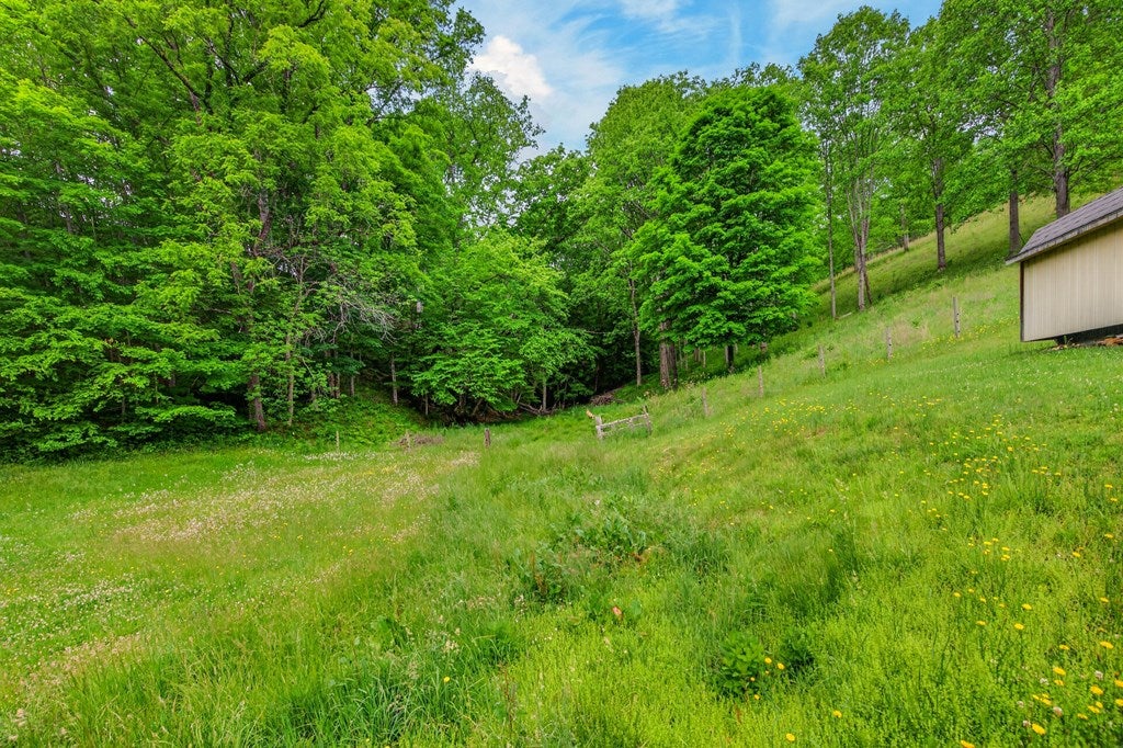 3771 Old Wilderness Road Ceres, VA 24318 - Photo 75 of 83 Gallery Image 75