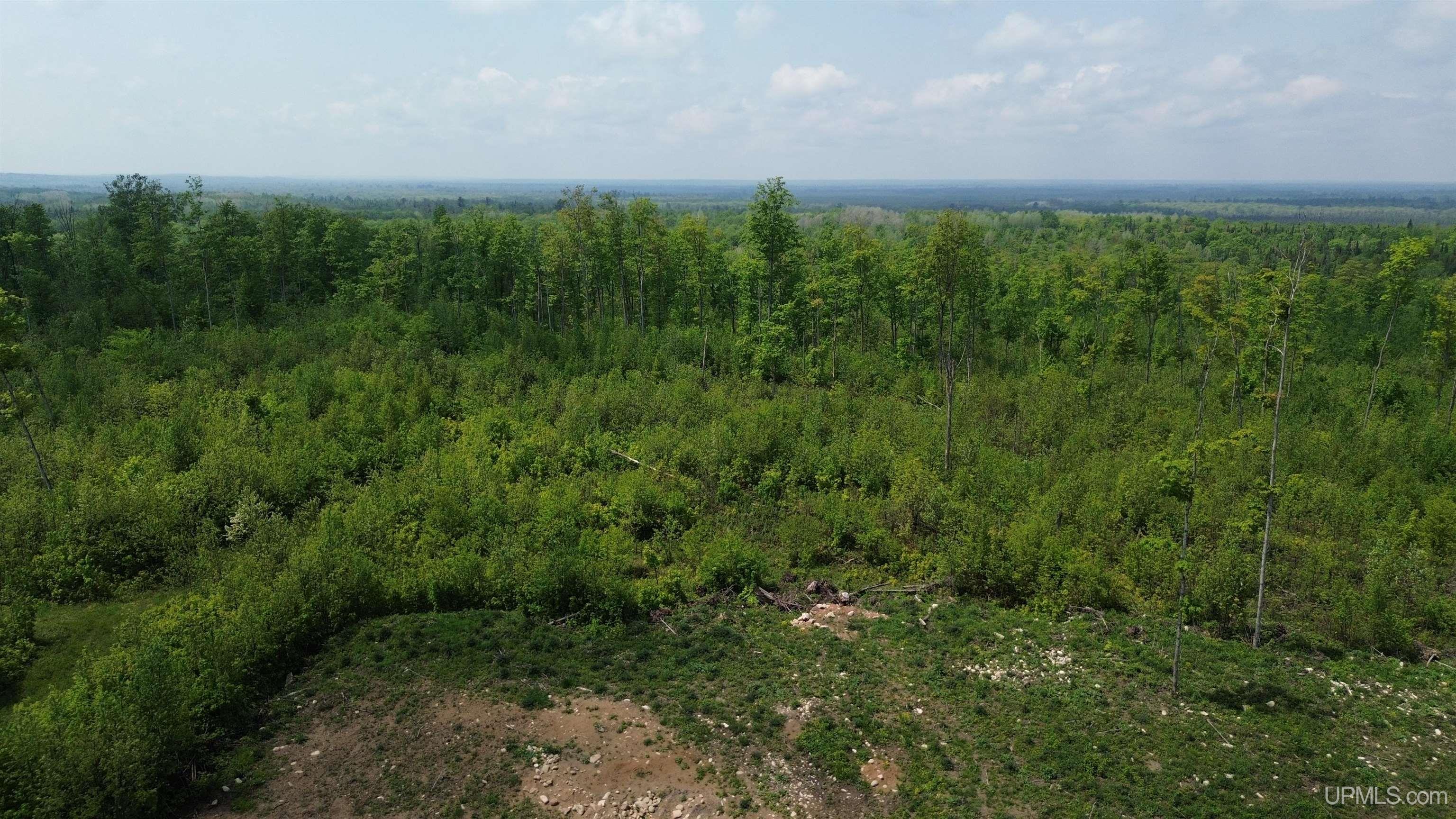 2493 Letson Road Gulliver, MI 49840 - Photo 51 of 56