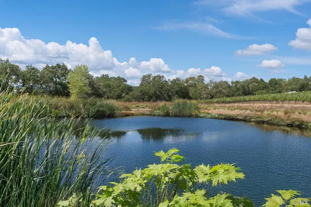 $3,500,000 | 910 Lytton Springs Road, Healdsburg, CA 95448