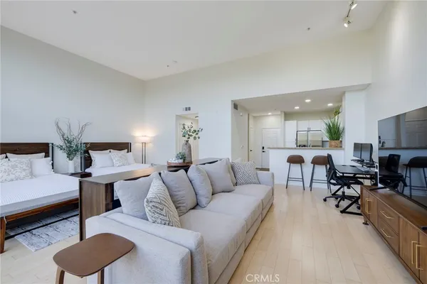 a living room with furniture and a potted plant
