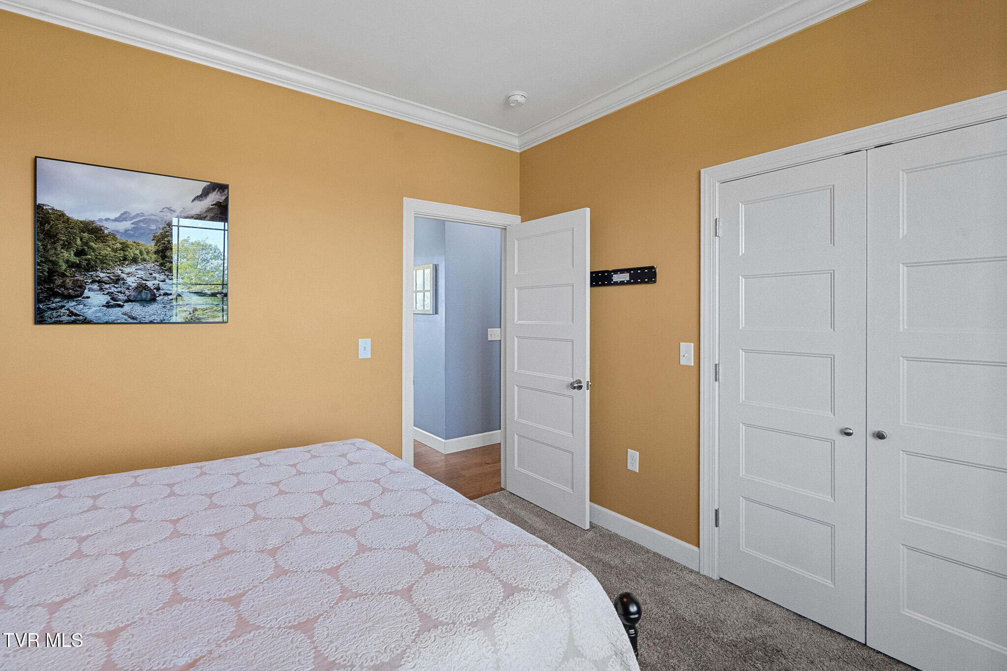 4085 Old Stage Road Chuckey, TN 37641 - Photo 28 of 58 Old Stage Rd 12