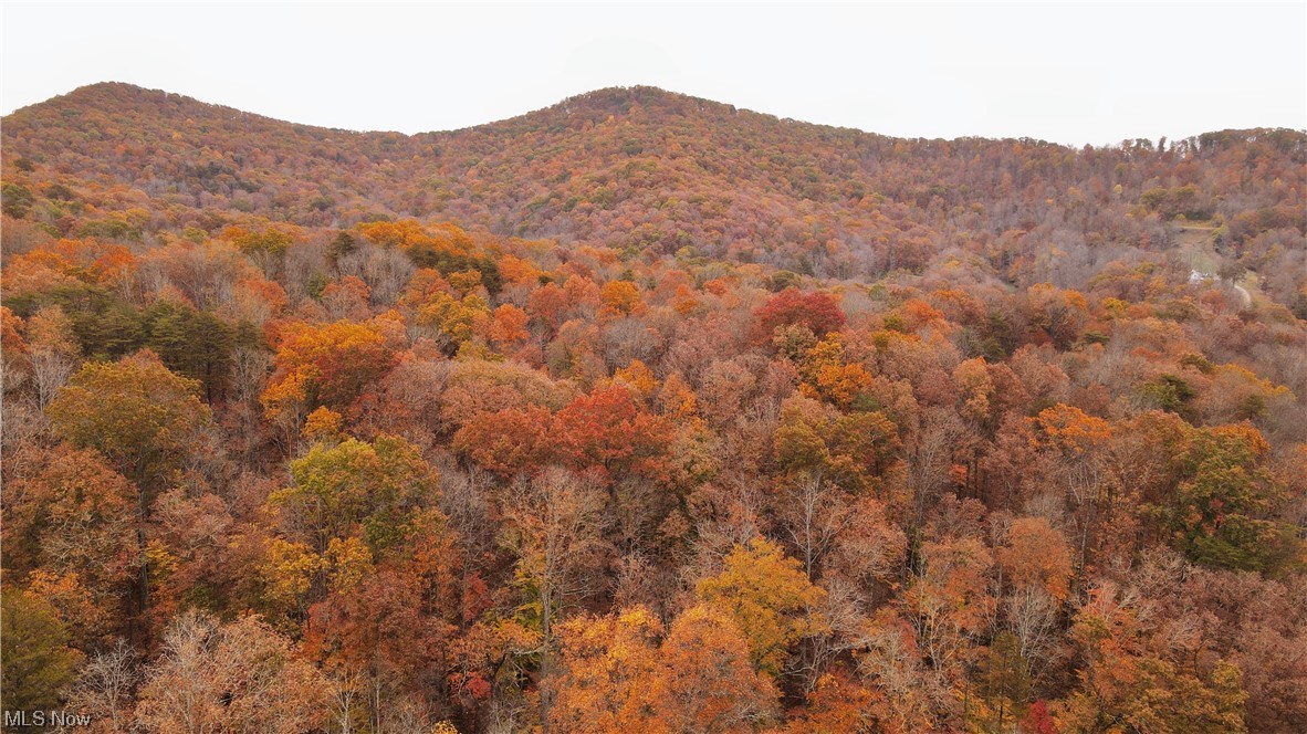 2912 Ovapa Road Wallback, WV 25285 - Photo 22 of 26 View of mountain feature