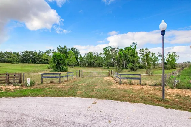 a view of a garden with an outdoor space