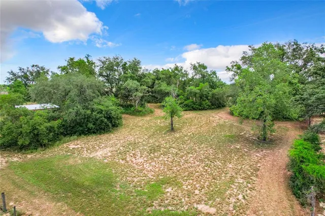 a view of a garden with plants