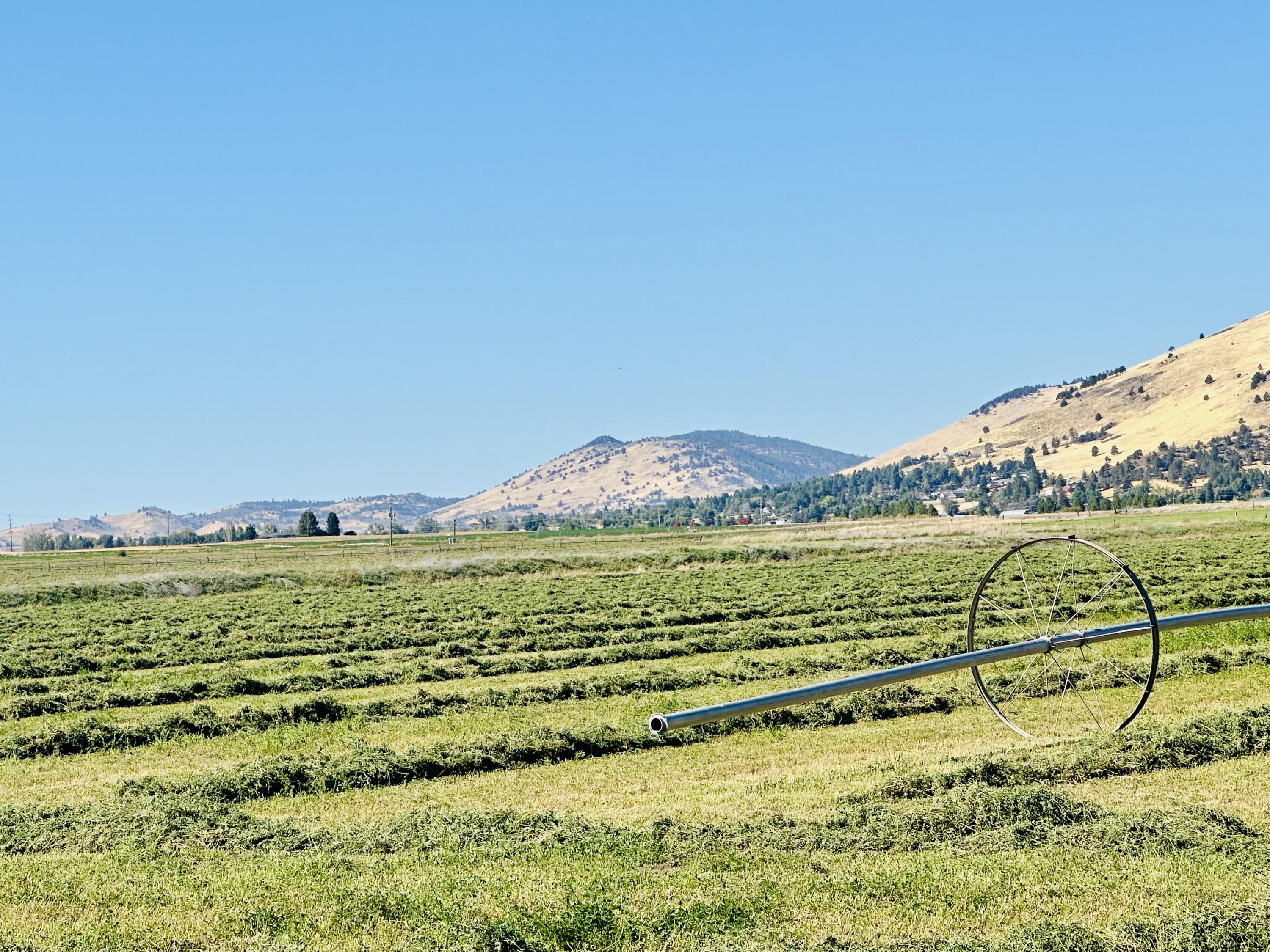 Reeder Road Klamath Falls, OR 97603 - Photo 11 of 20 IMG_1367