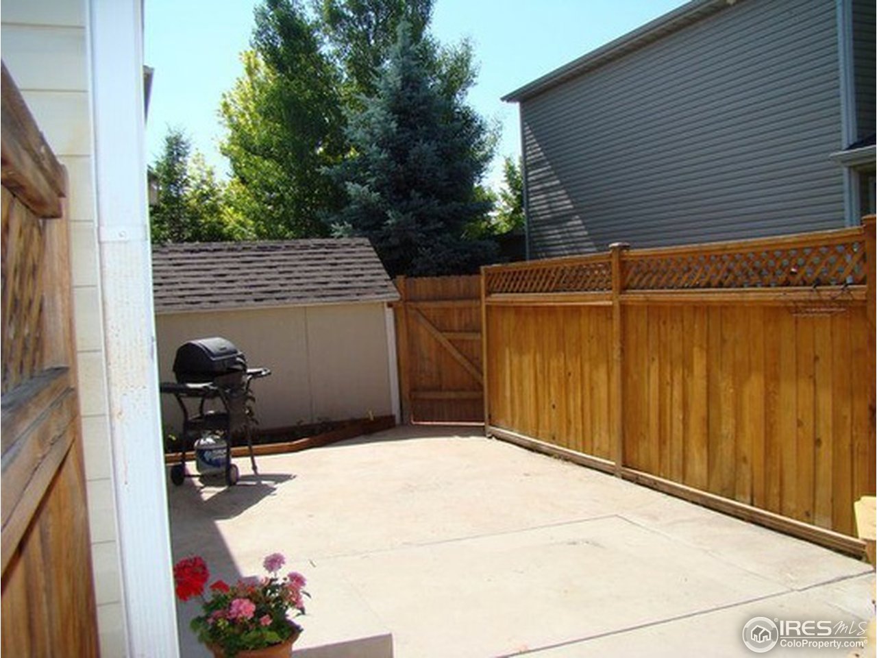 409 Riva Ridge Drive Fort Collins, CO 80526 - Photo 16 of 22 Back Patio to Shed