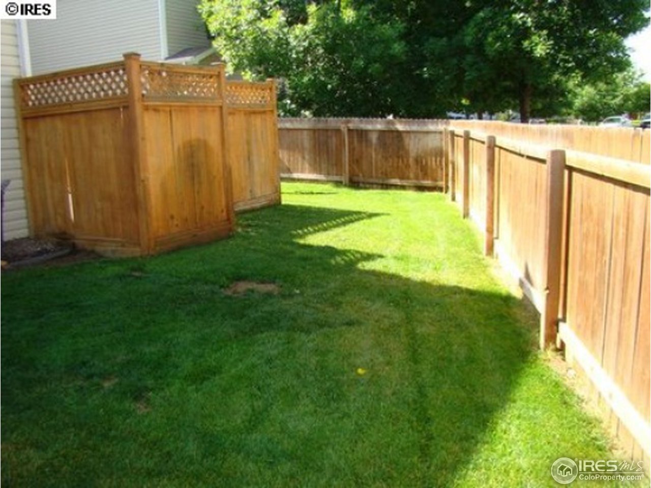 409 Riva Ridge Drive Fort Collins, CO 80526 - Photo 19 of 22 Back Yard 2