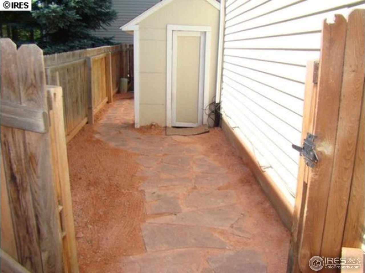 409 Riva Ridge Drive Fort Collins, CO 80526 - Photo 21 of 22 Shed on Side