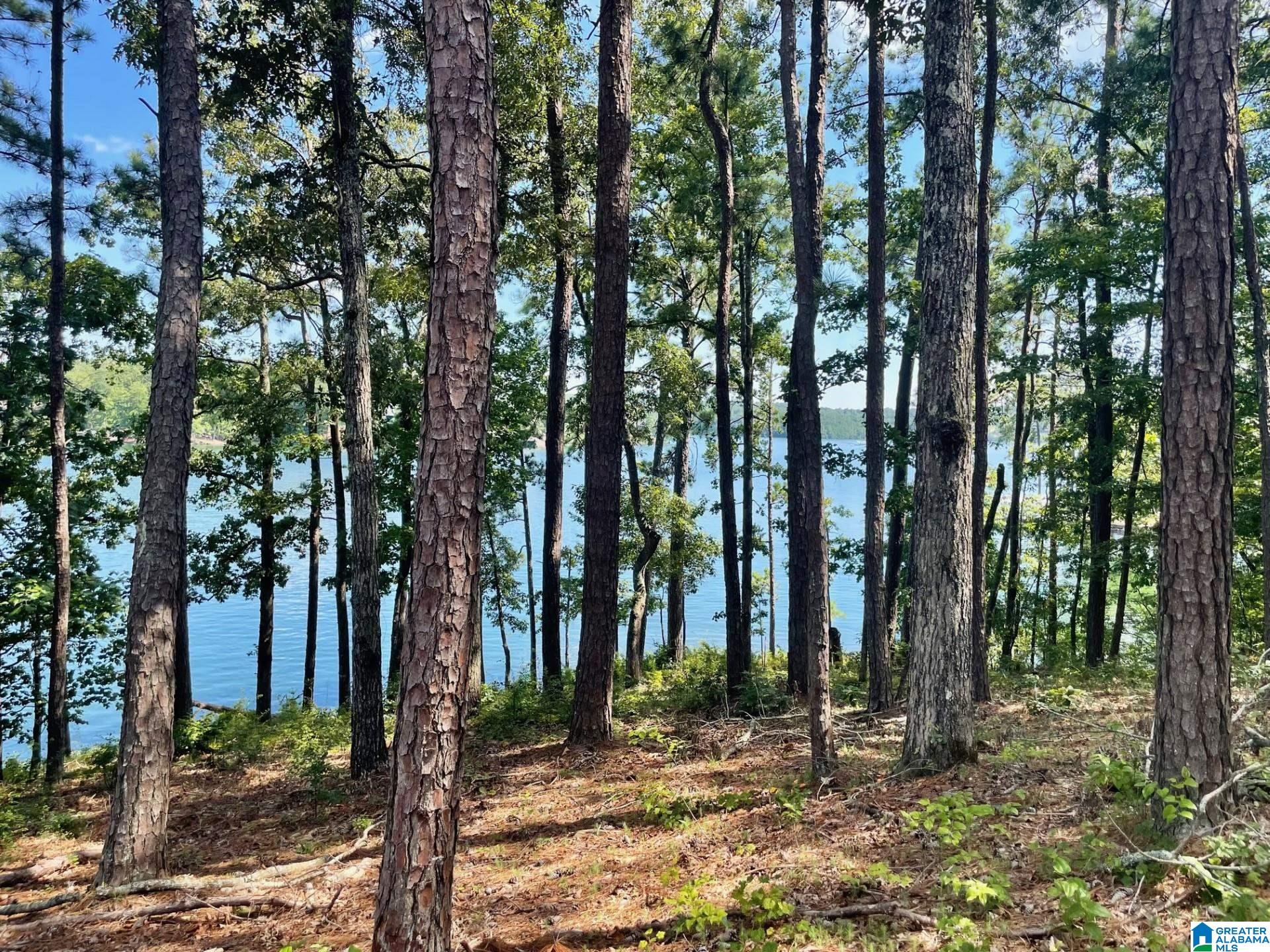 897 County Road, Unit 7 Wedowee, AL 36278 - Photo 4 of 8