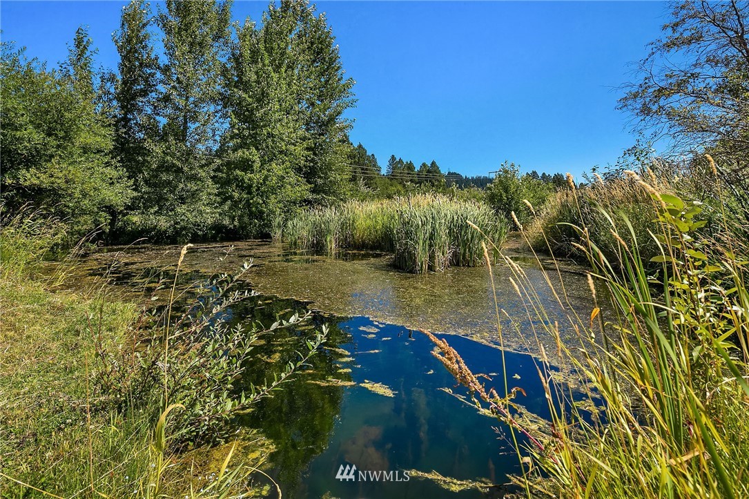 701 Hugh Banks Road Cle Elum, WA 98922 - Photo 31 of 34 Gallery Image 31