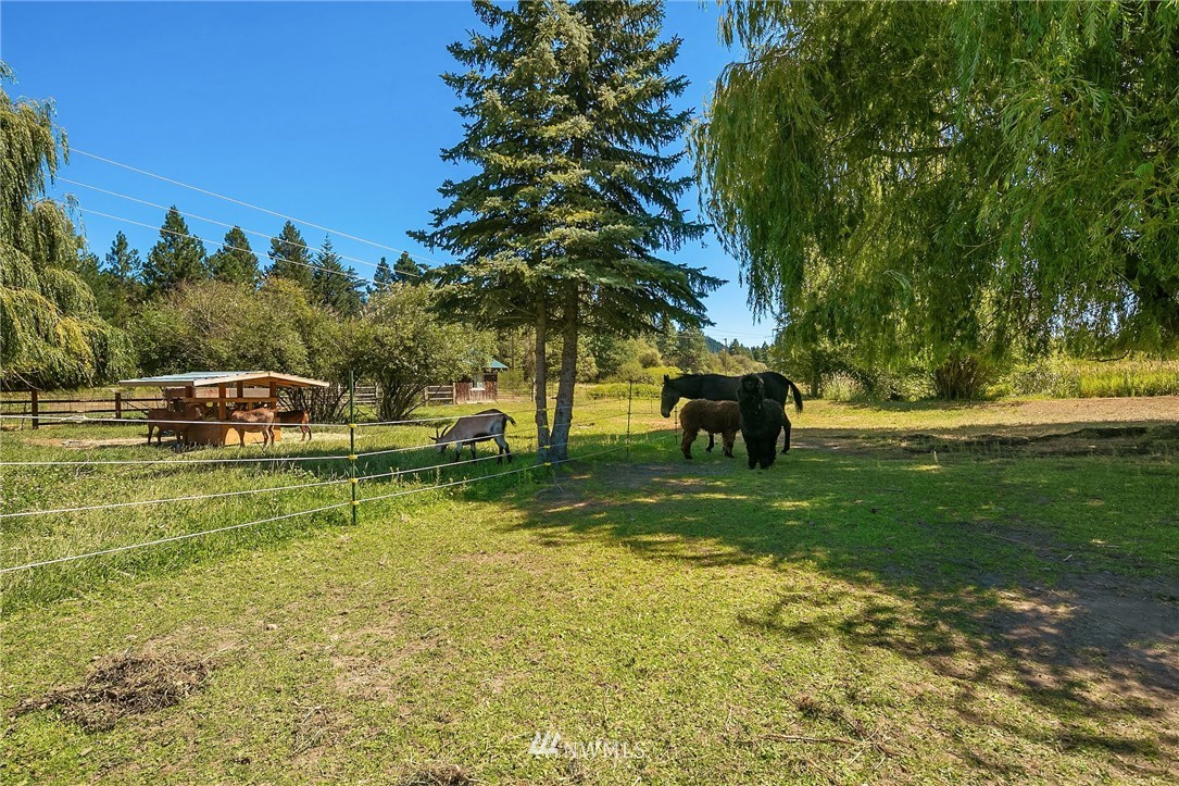 701 Hugh Banks Road Cle Elum, WA 98922 - Photo 32 of 34 Gallery Image 32