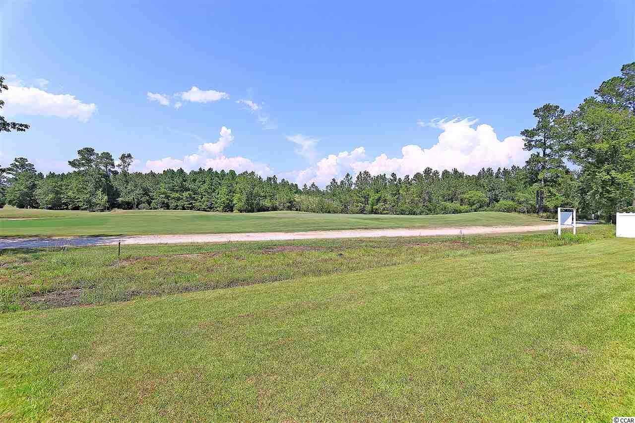 2087 Borgata Loop Longs, SC 29568 - Photo 13 of 23 Gallery Image 13