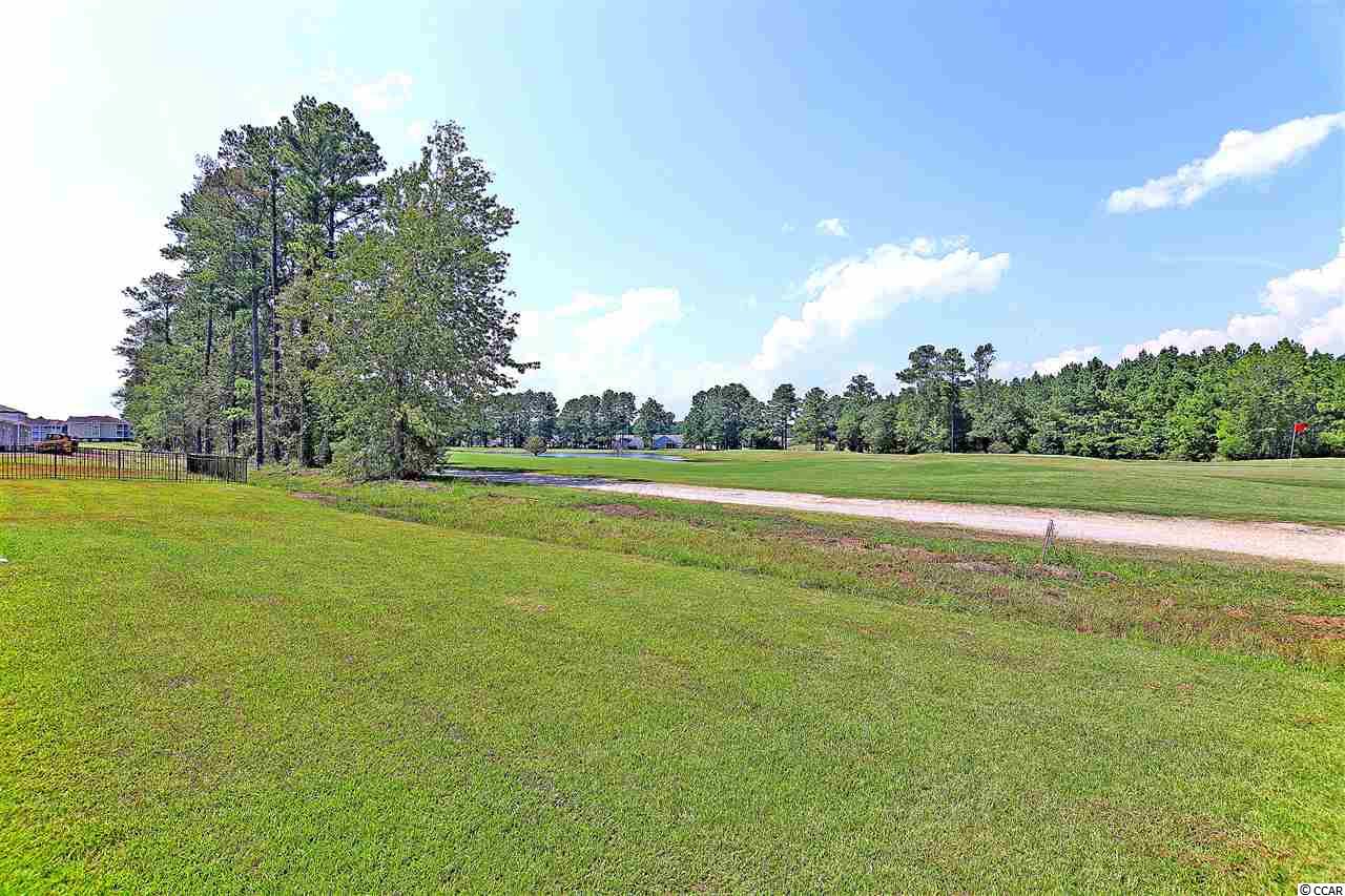 2087 Borgata Loop Longs, SC 29568 - Photo 14 of 23 Gallery Image 14