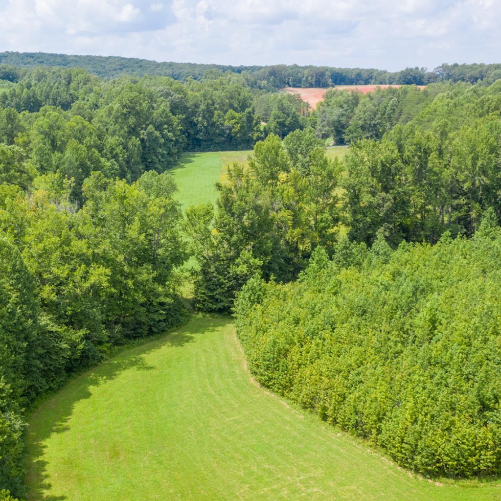 Crumptown Road Farmville, VA 23901 - Photo 19 of 32 Gallery Image 19