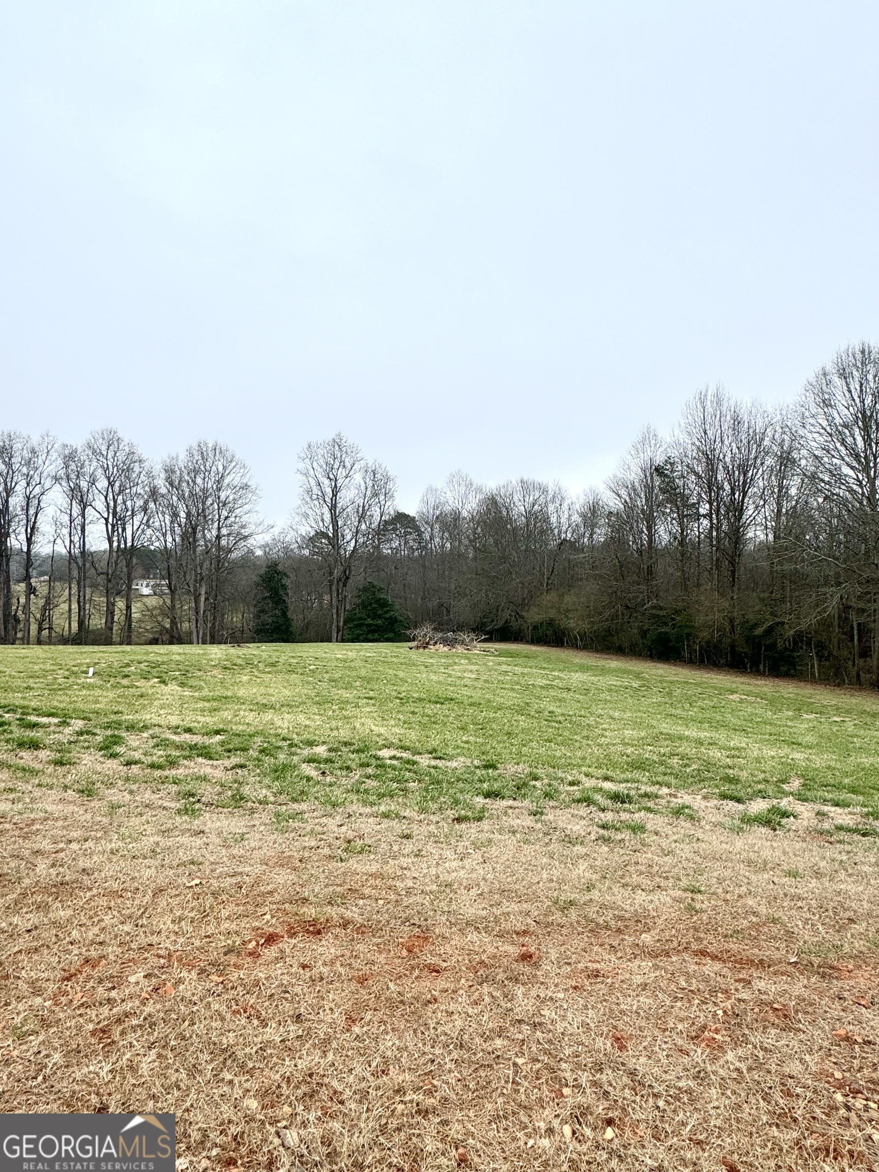 316 Bar Rod Road Demorest, GA 30535 - Photo 11 of 29 a view of a field with an trees