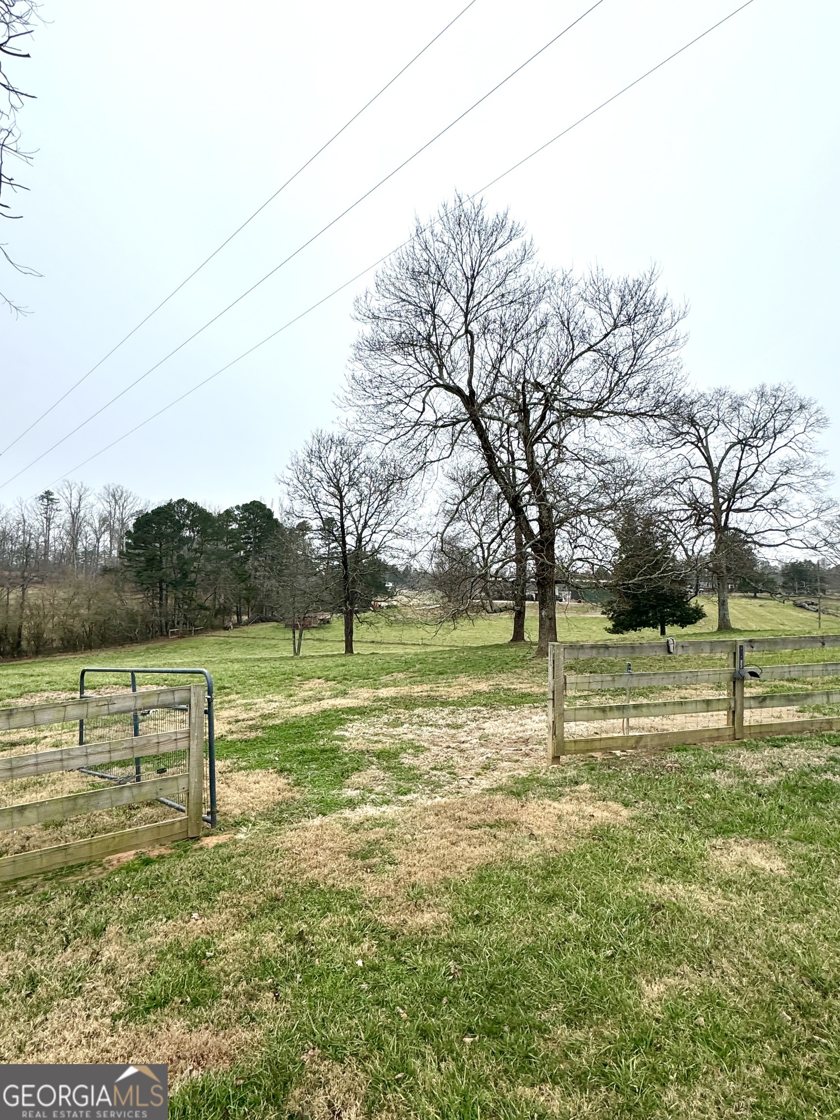 316 Bar Rod Road Demorest, GA 30535 - Photo 21 of 29 a view of an outdoor space and yard