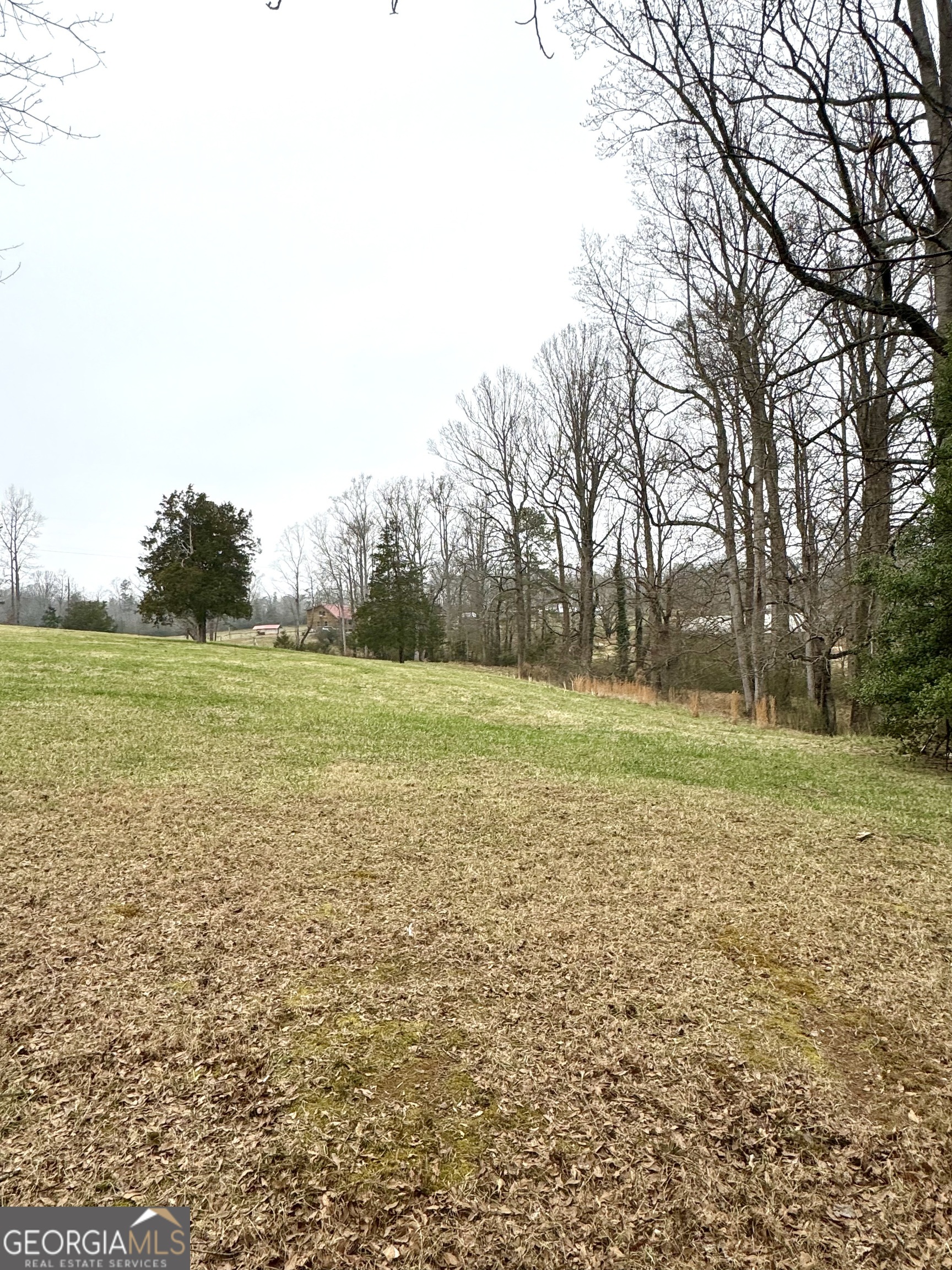 316 Bar Rod Road Demorest, GA 30535 - Photo 4 of 29 a view of a field with trees in the background