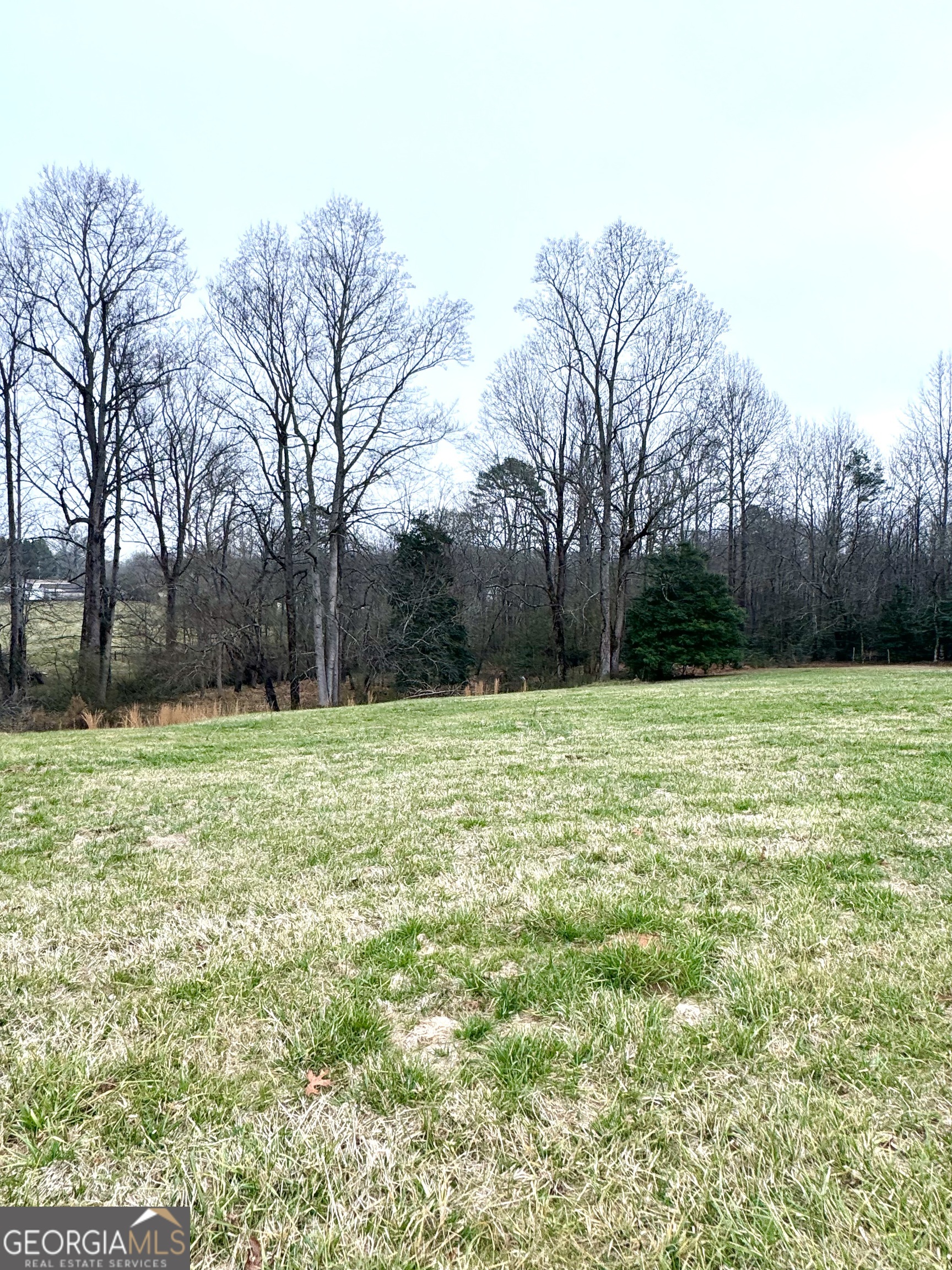 316 Bar Rod Road Demorest, GA 30535 - Photo 9 of 29 a view of a yard with a tree