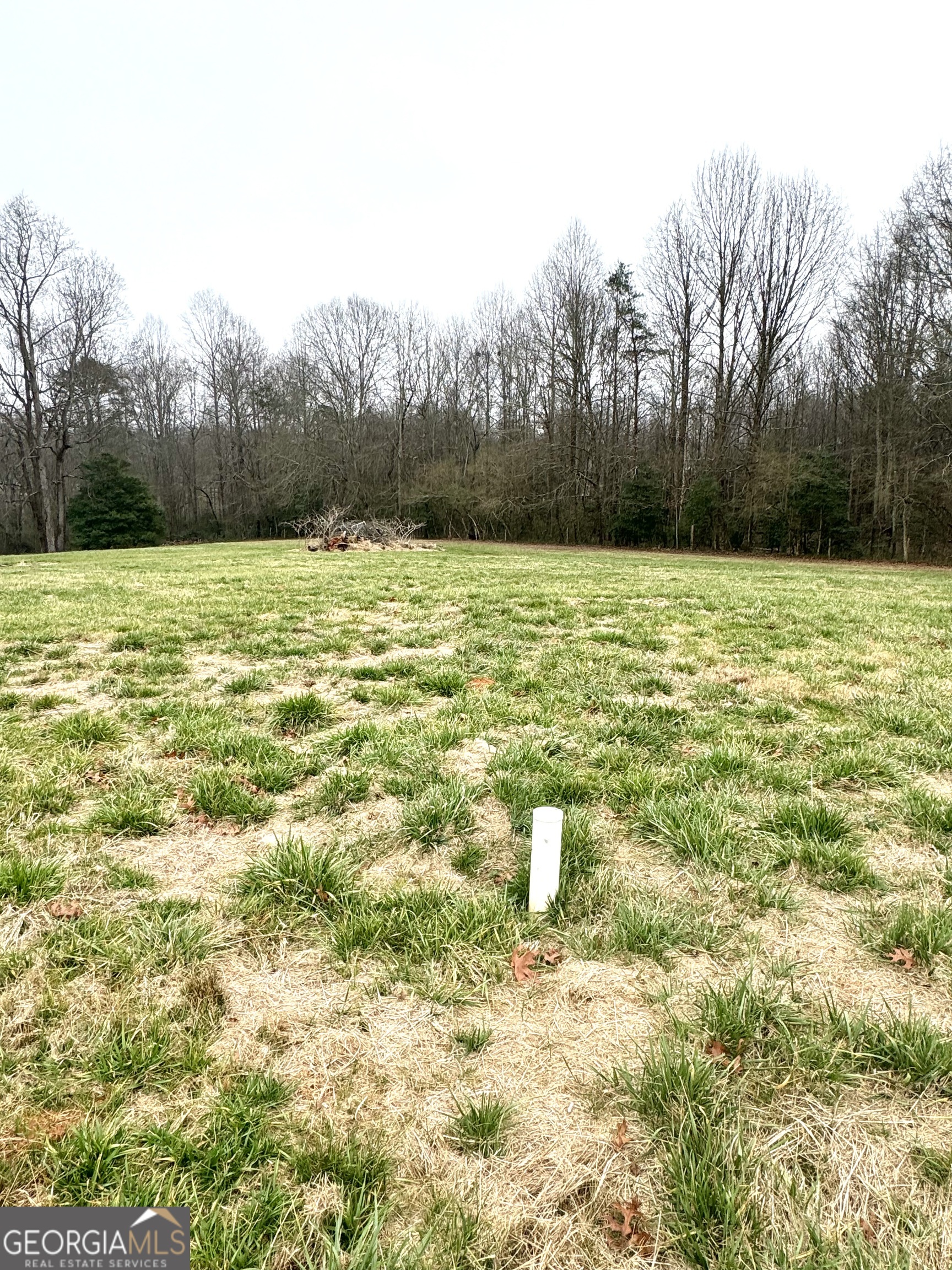 316 Bar Rod Road Demorest, GA 30535 - Photo 10 of 29 a view of a lake with a yard