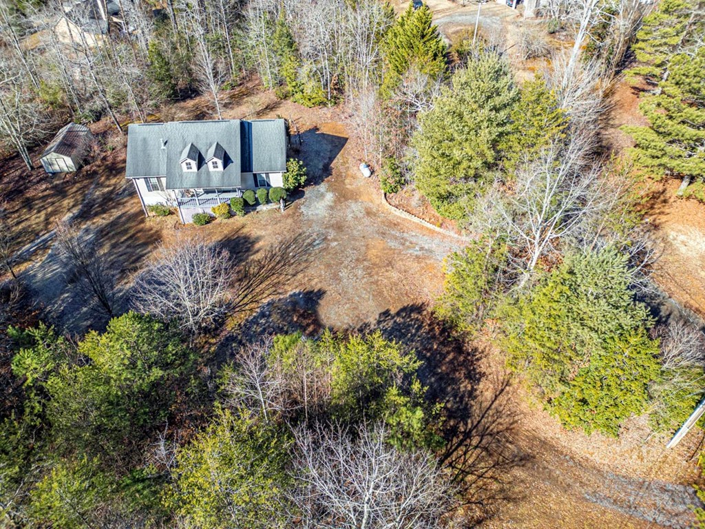 220 Yellowbird Trail Blue Ridge, GA 30513 - Photo 6 of 57 Gallery Image 6