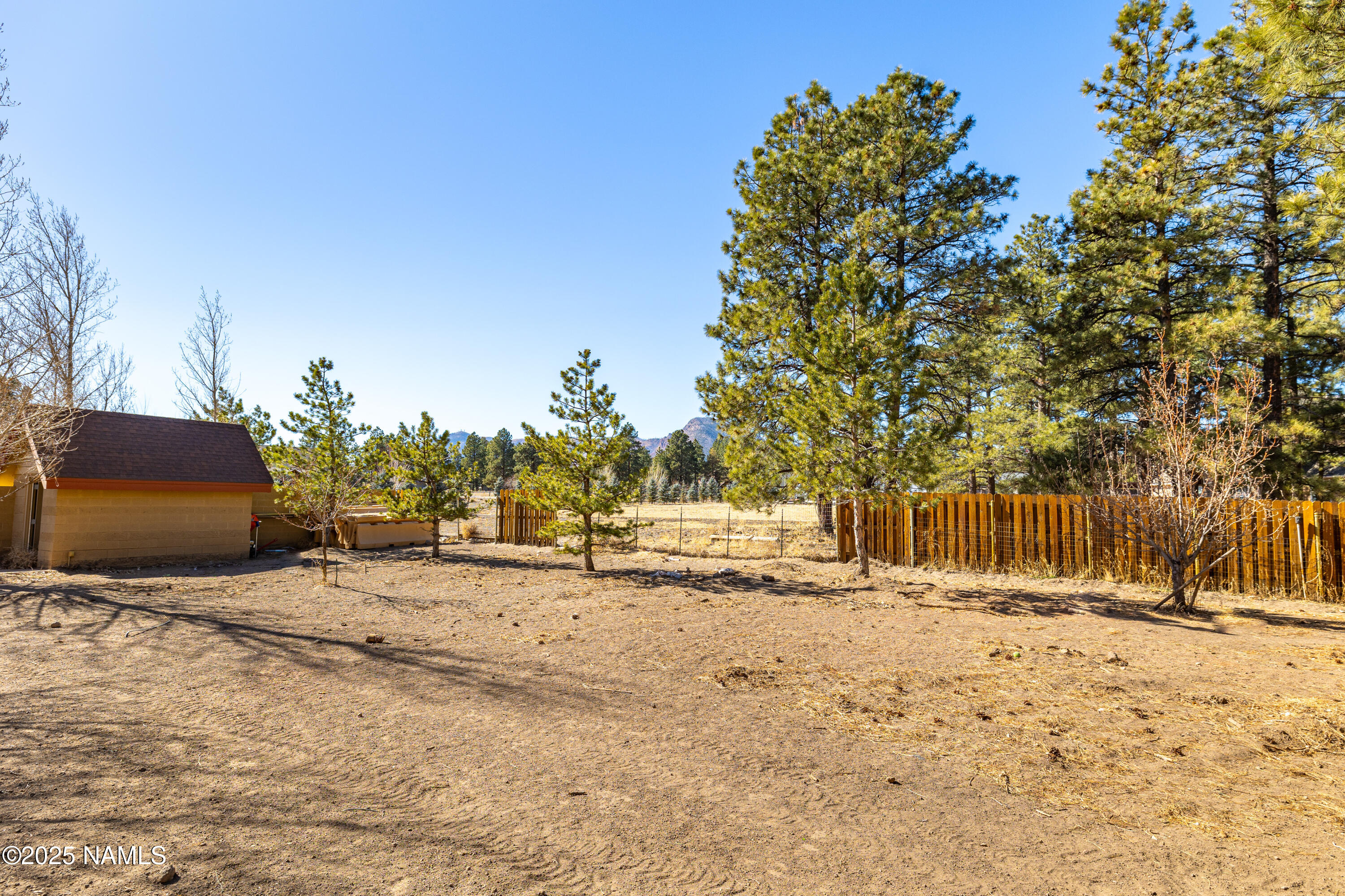 5835 Switchback Trail Flagstaff, AZ 86004 - Photo 27 of 35 a view of a yard with a tree