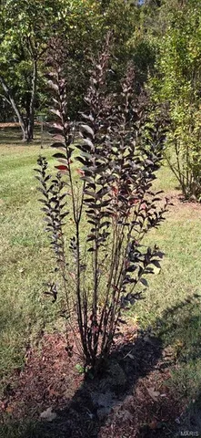 $260,000 | 7564 Riffle Island Drive, Cedar Hill, MO 63016