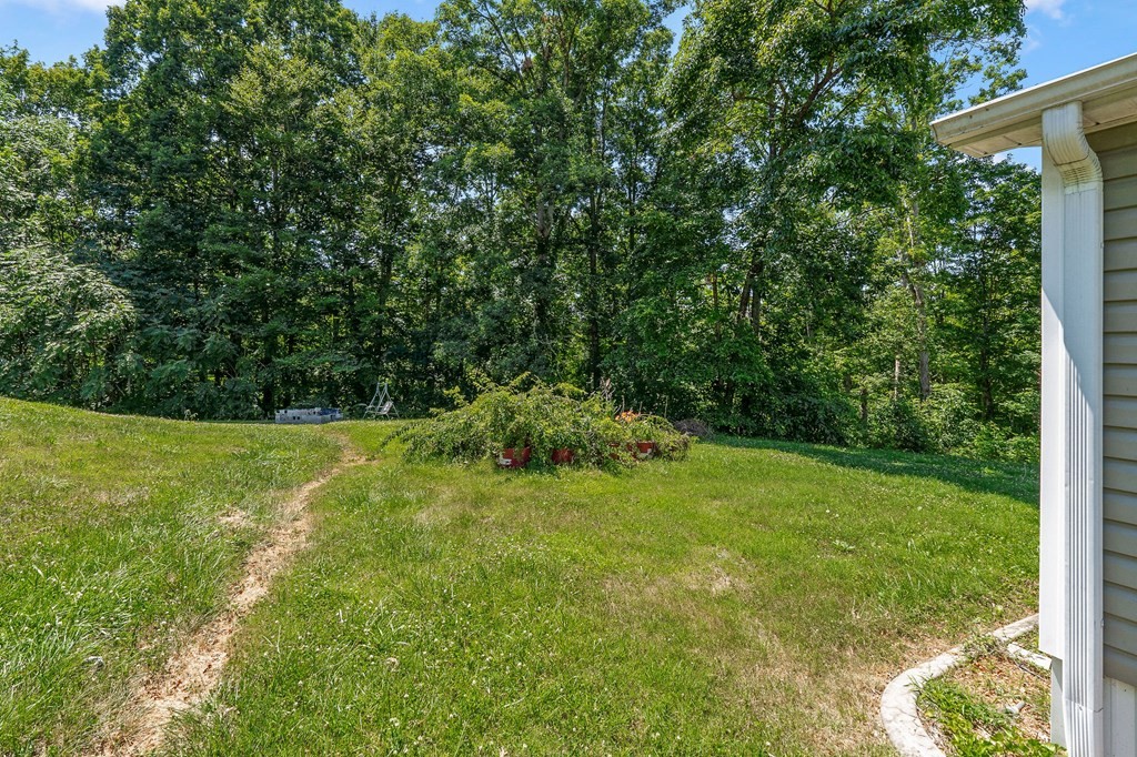 431 Mohawk Valley Road Monroe, TN 38573 - Photo 28 of 28 a view of yard with green space
