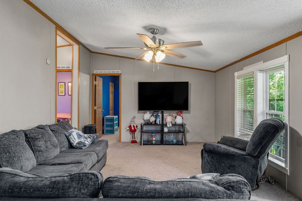 431 Mohawk Valley Road Monroe, TN 38573 - Photo 10 of 28 a living room with furniture and a flat screen tv