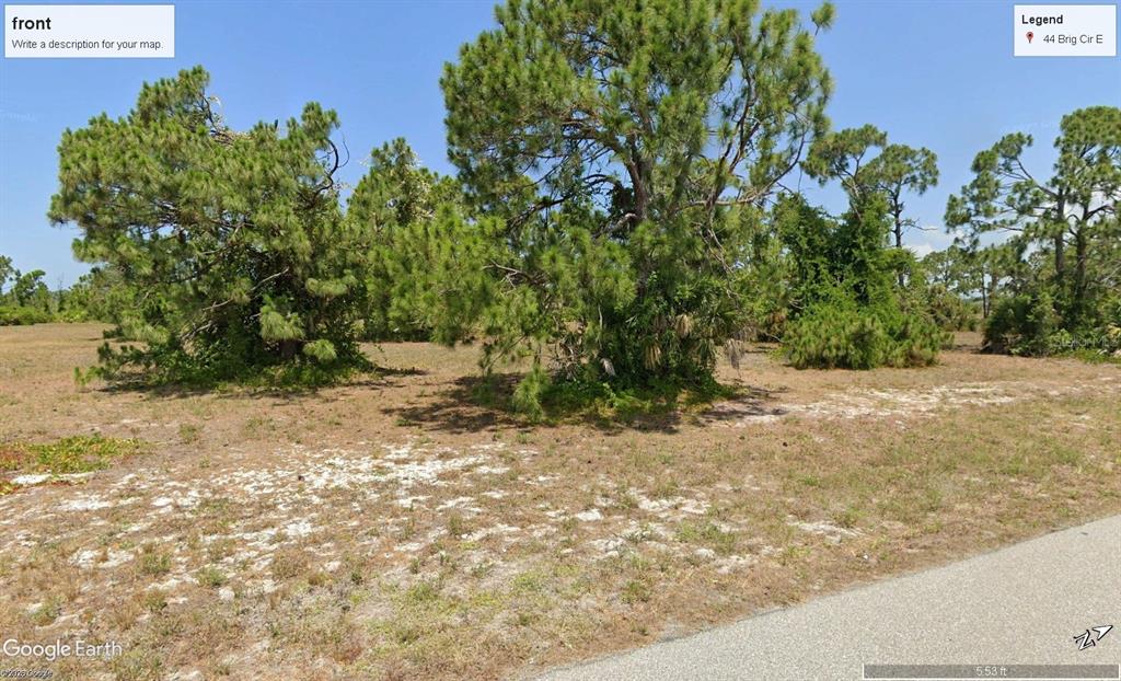 a view of a yard with plants and trees