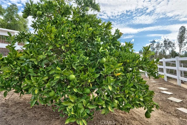 $1,295,000 | 30041 Los Nogales Road, Temecula, CA 92591