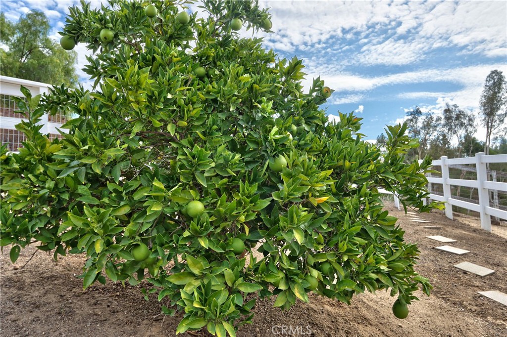 30041 Los Nogales Road Temecula, CA 92591 - Photo 57 of 75