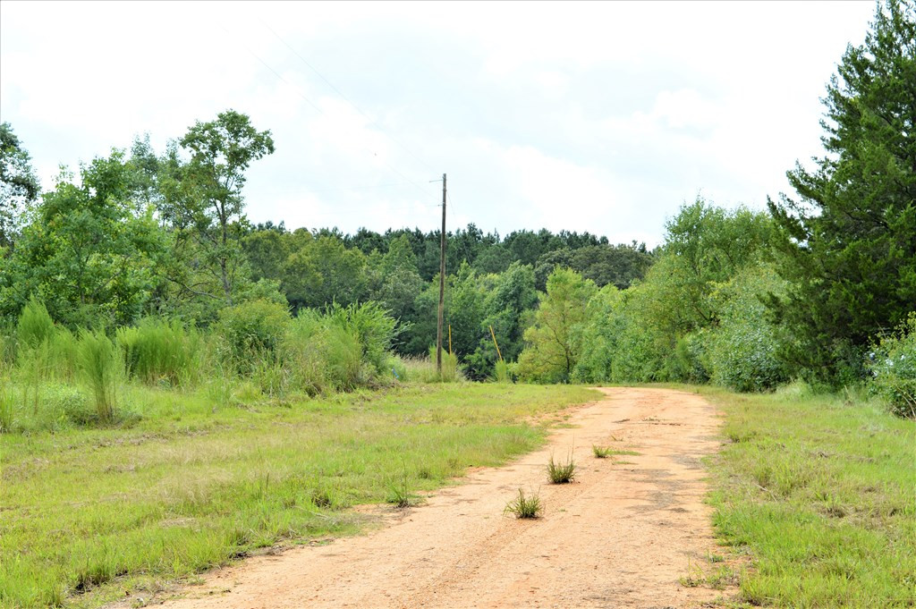 ... East Fernwood Road McComb, MS 39648 - Photo 2 of 4 Photo 2