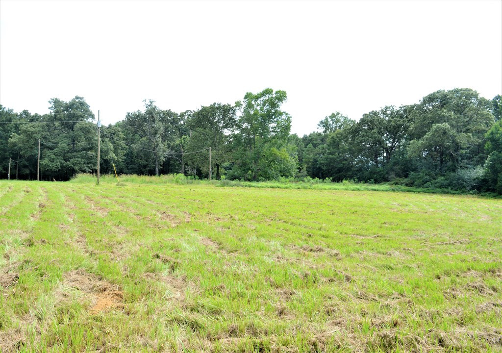... East Fernwood Road McComb, MS 39648 - Photo 3 of 4 Photo 3