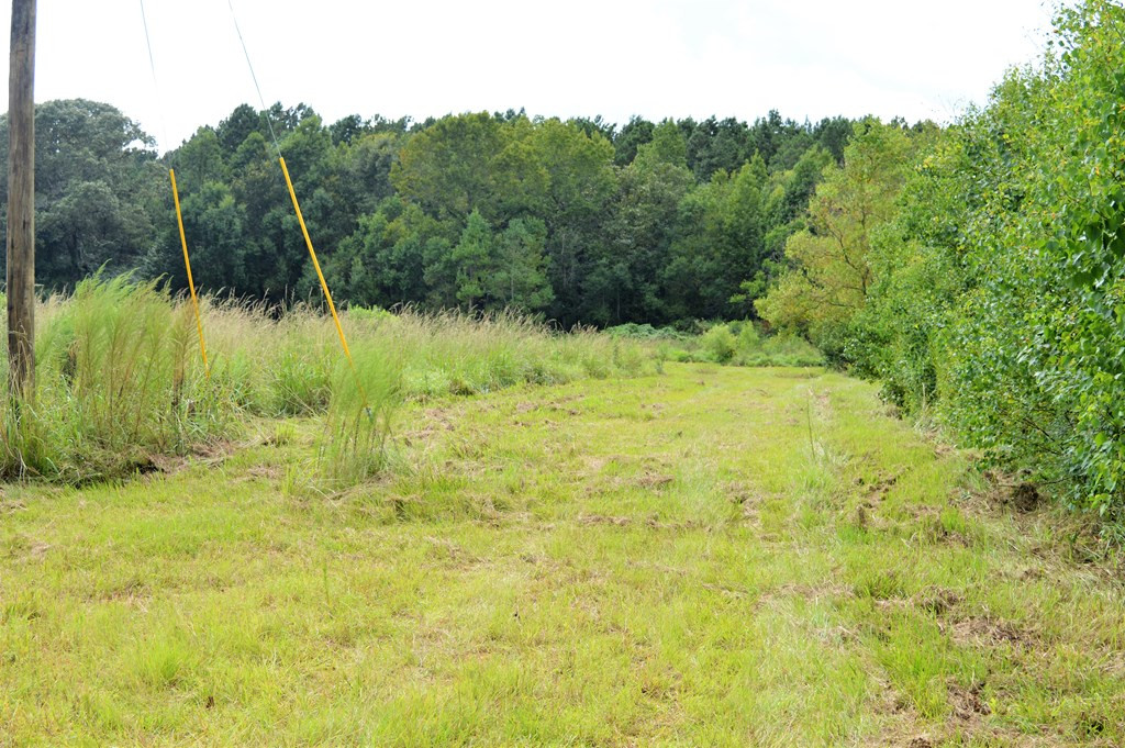 ... East Fernwood Road McComb, MS 39648 - Photo 4 of 4 Photo 4