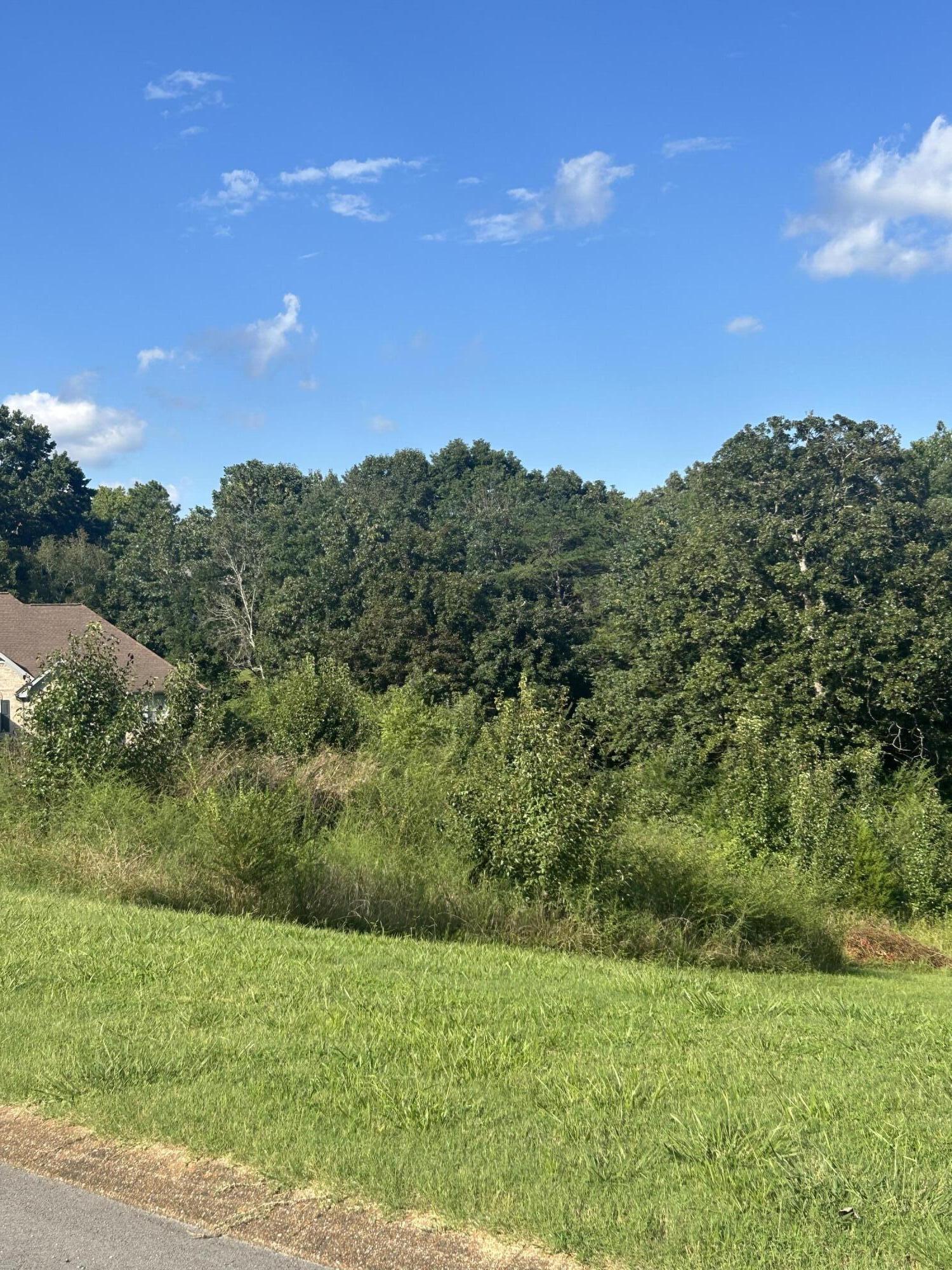 9606 Shadow Bend Circle Chattanooga, TN 37421 - Photo 4 of 5 IMG_2859